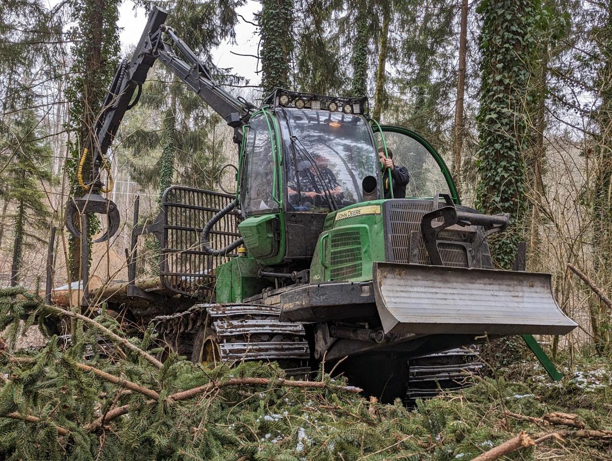 John Deere 810E Rückewagen im Wald im Einsatz
